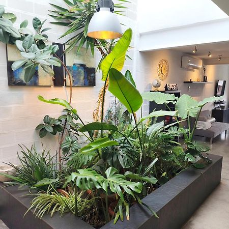 דירות Alfafara Loft Carrasketa מראה חיצוני תמונה