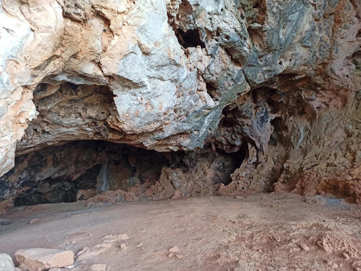 דירות Alfafara Loft Carrasketa מראה חיצוני תמונה
