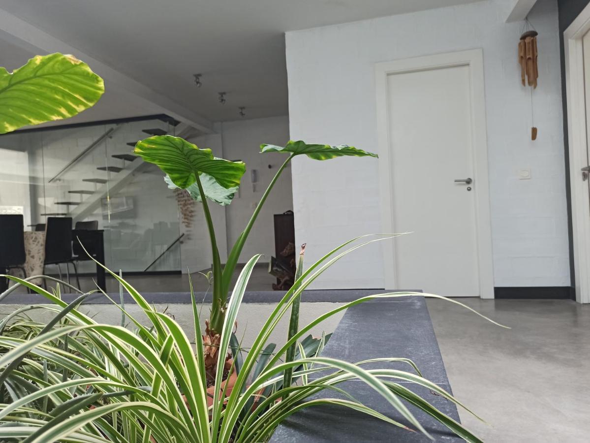 דירות Alfafara Loft Carrasketa מראה חיצוני תמונה