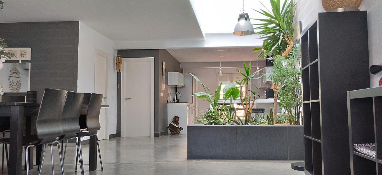 דירות Alfafara Loft Carrasketa מראה חיצוני תמונה