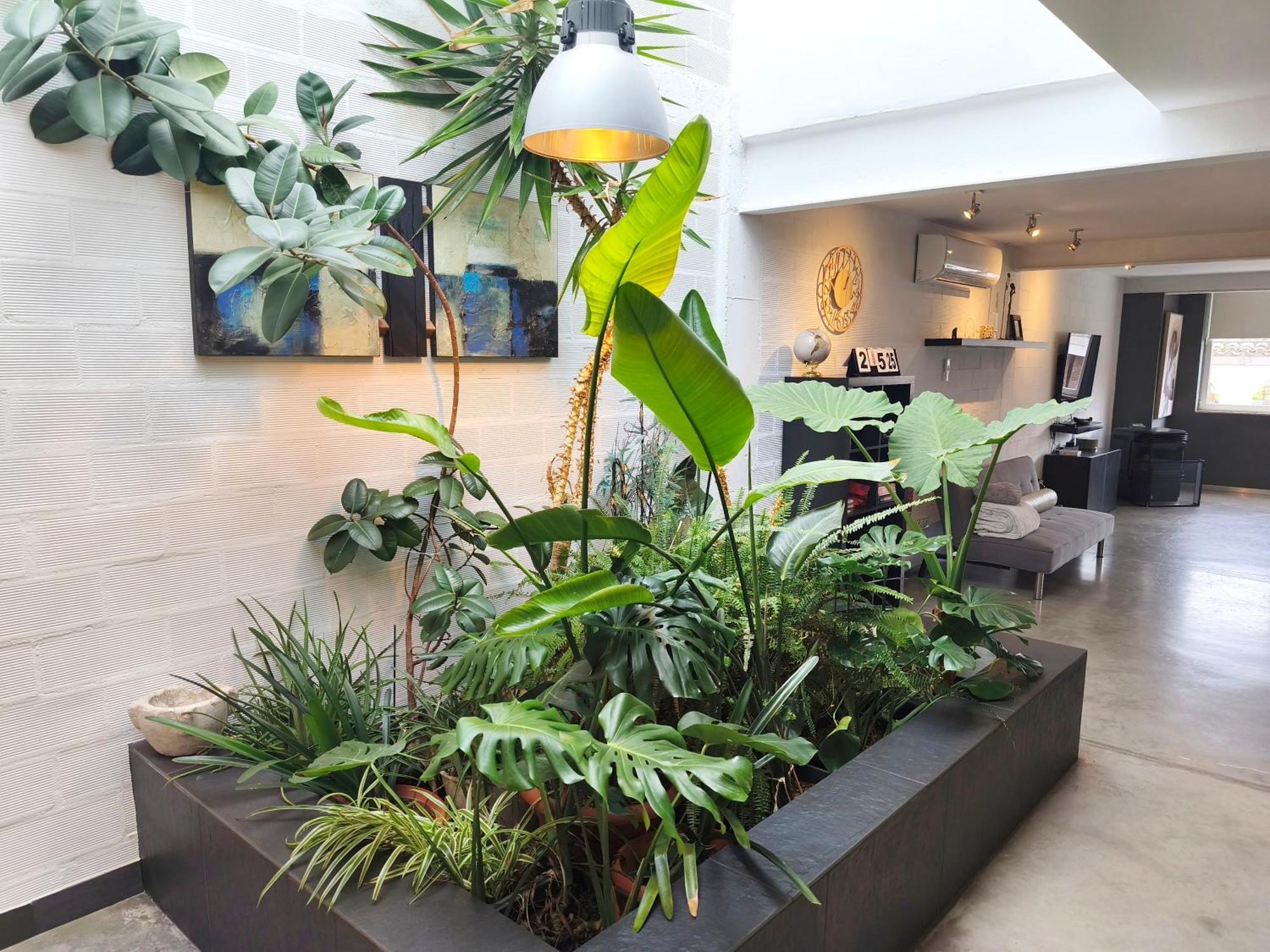 דירות Alfafara Loft Carrasketa מראה חיצוני תמונה